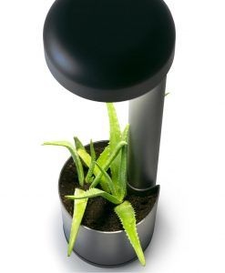 Wegeleuchte 50 cm GROW LED dunkelgrau Detail