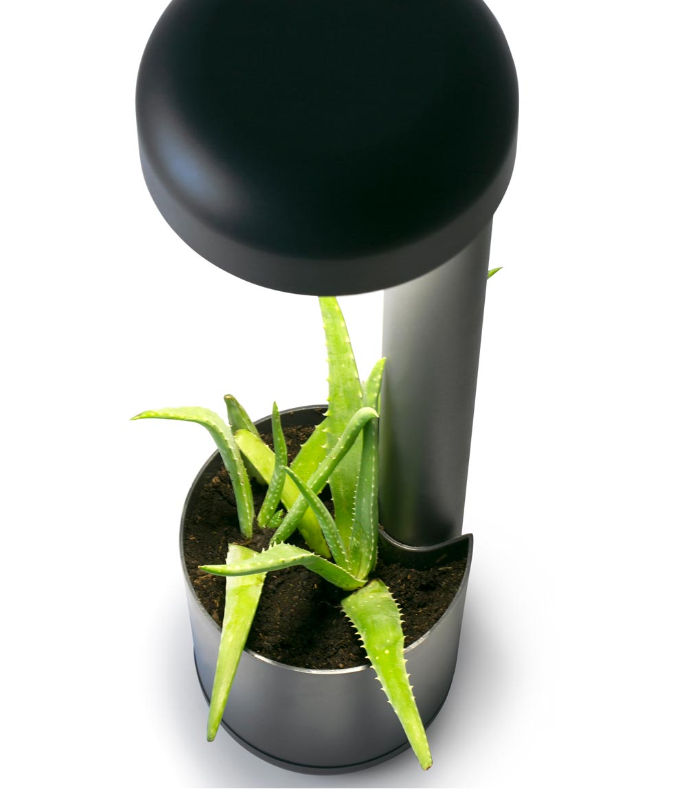 Wegeleuchte 50 cm GROW LED dunkelgrau Detail